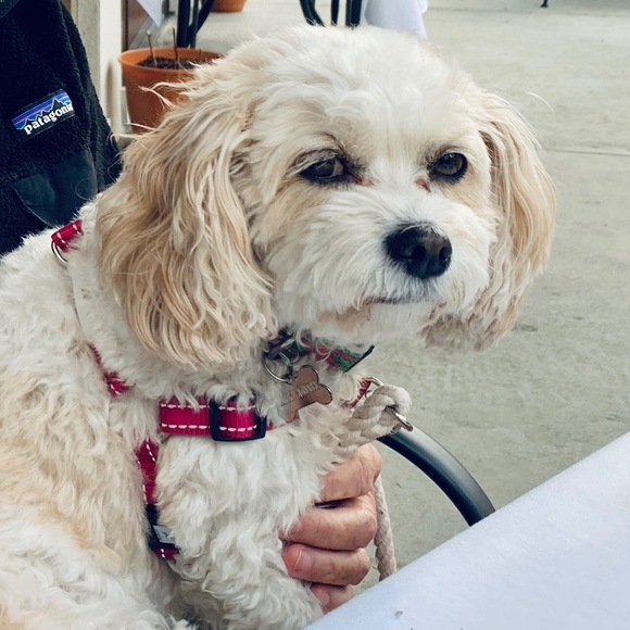 Meet your Posher, Lynn - Picture 1 of 1